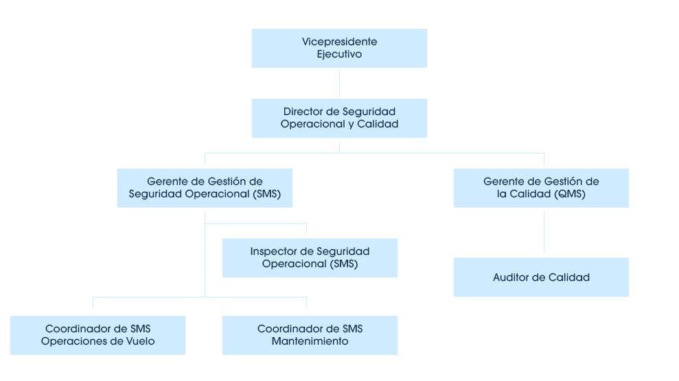 OrganigramaSMS